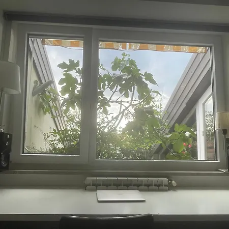 Con Terrazza Vista Mare *